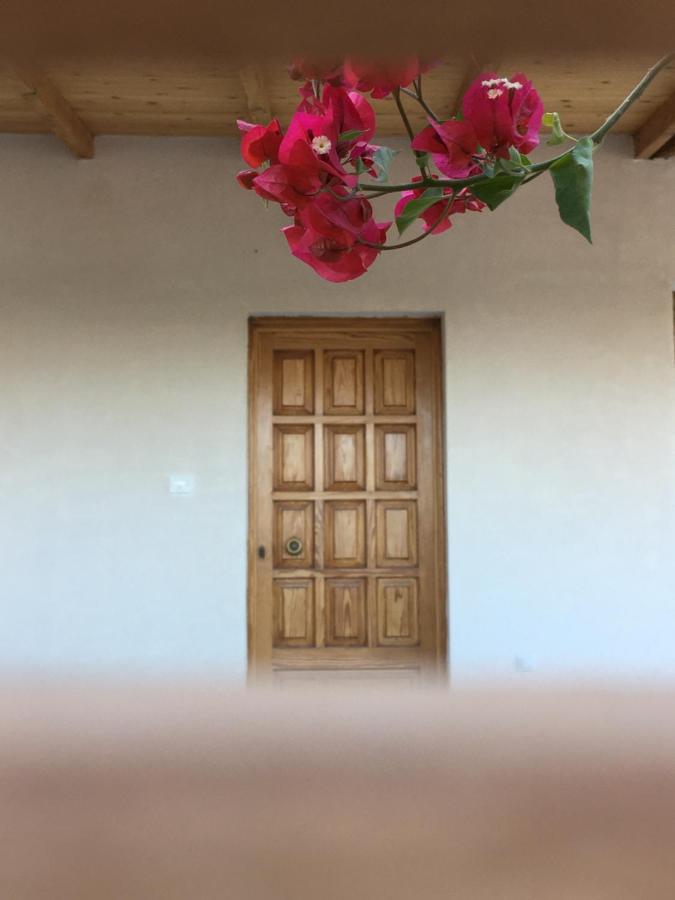 Villa Artemis Leto المظهر الخارجي الصورة